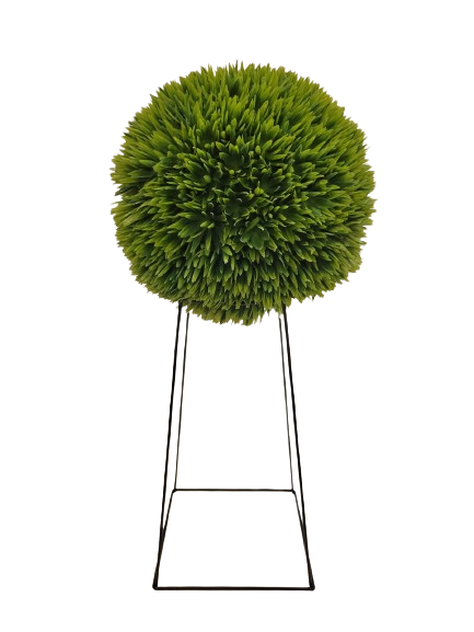 import placeholder for 2809