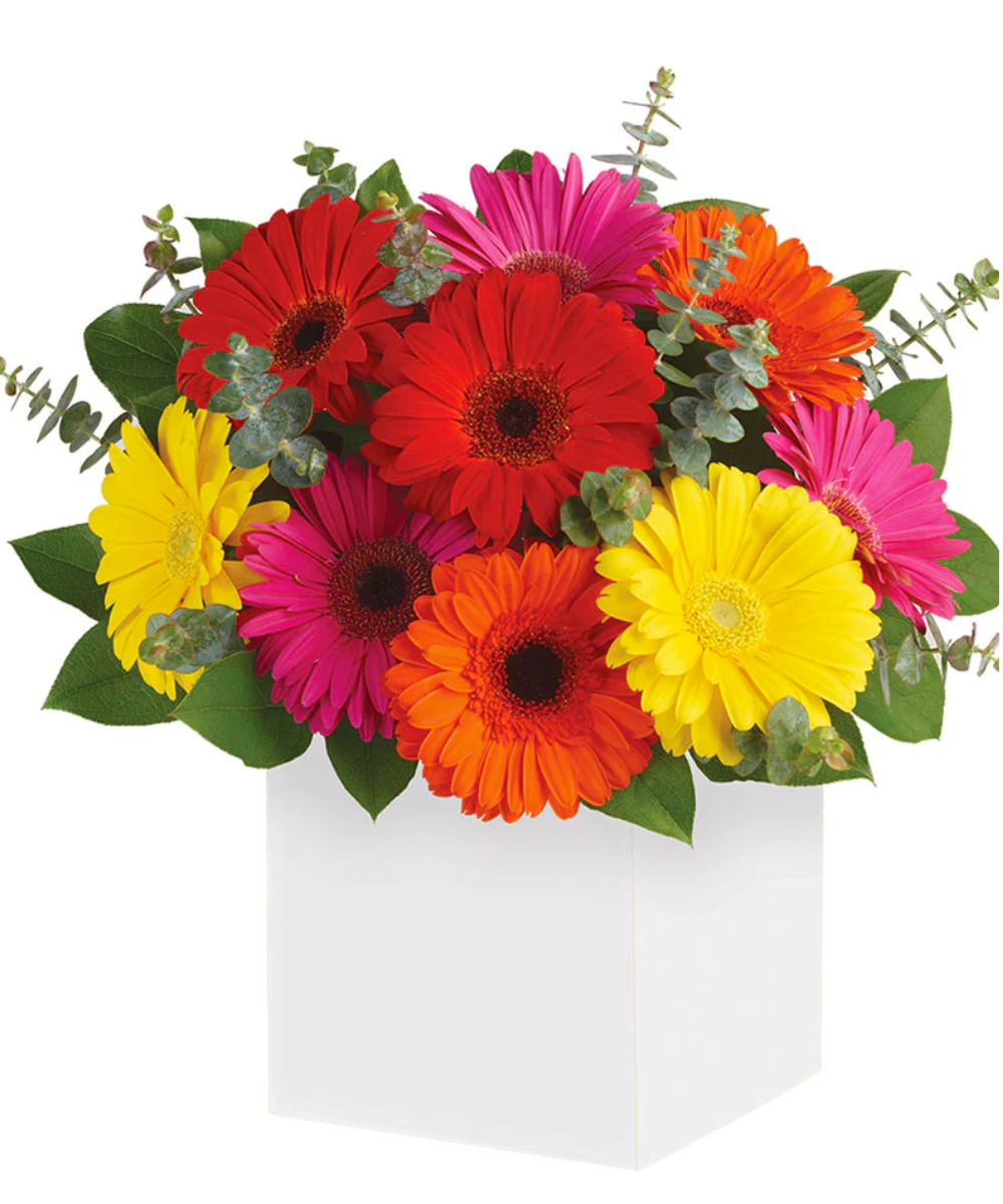 import placeholder for 3097