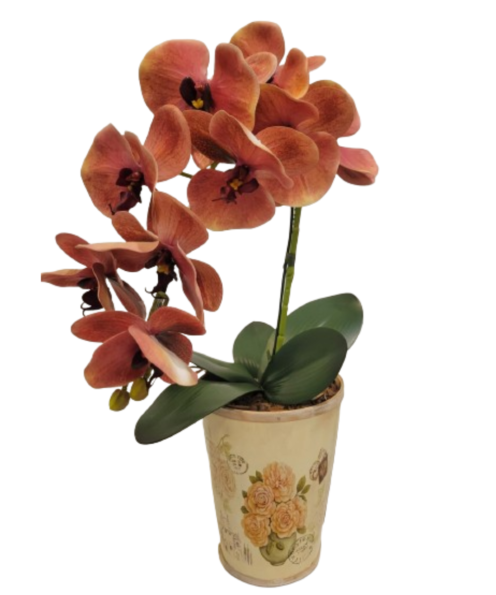 import placeholder for 2805