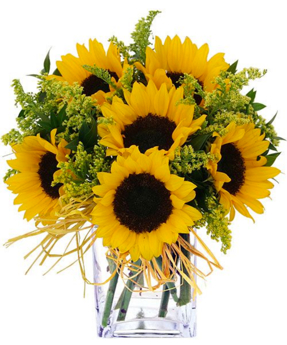 import placeholder for 3369