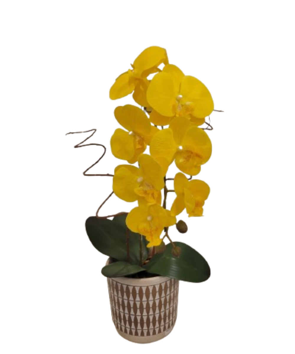 import placeholder for 2801