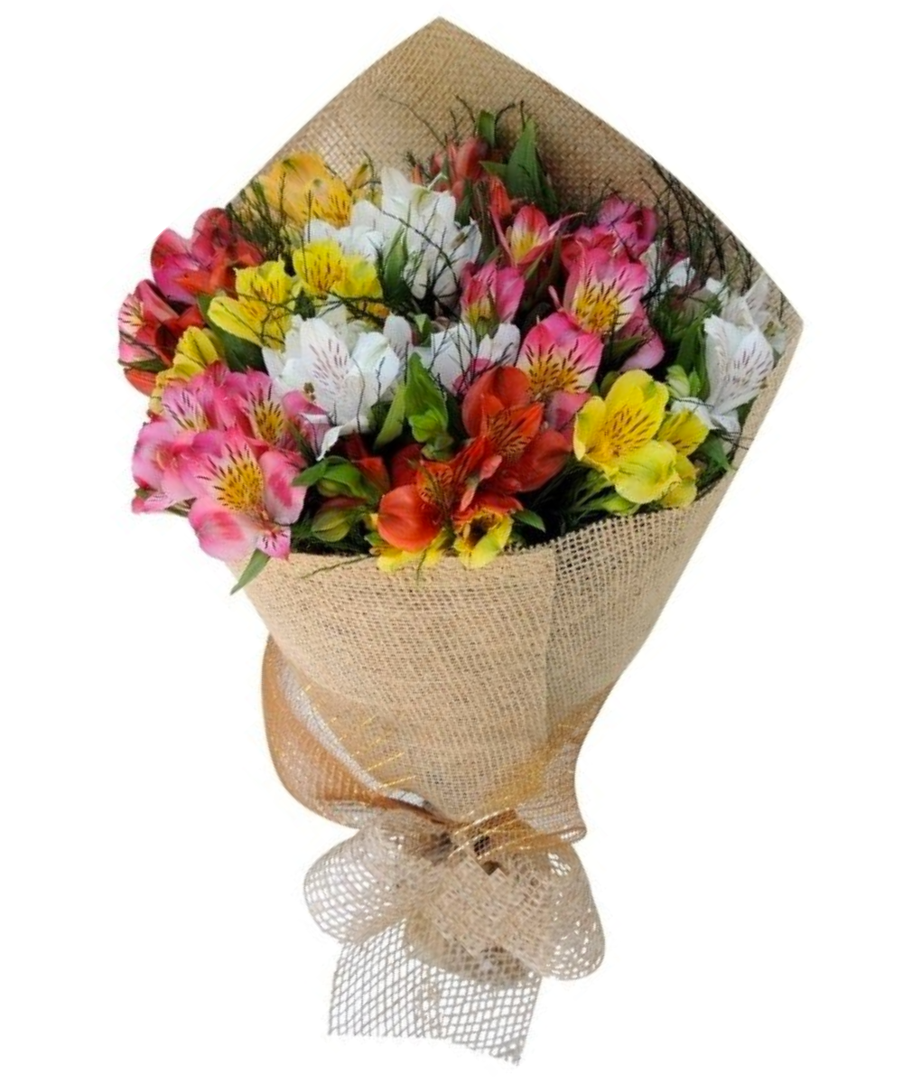 import placeholder for 2884