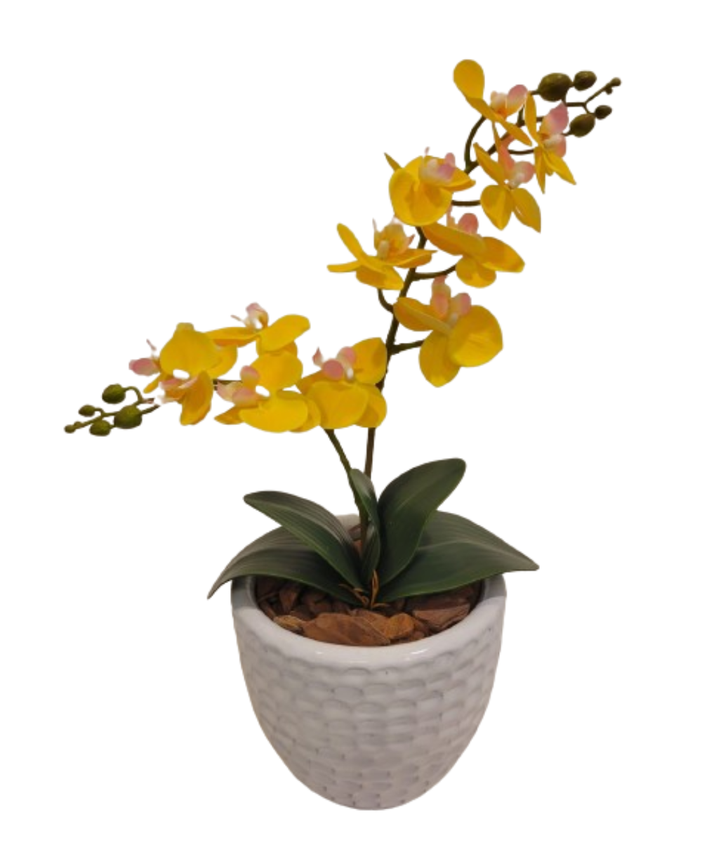 import placeholder for 2795