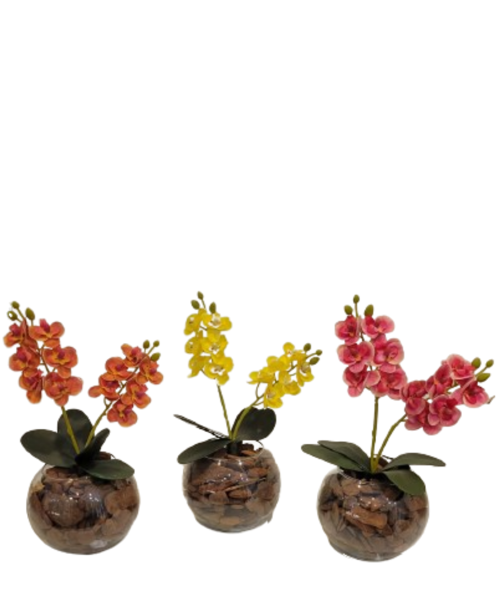 import placeholder for 2815