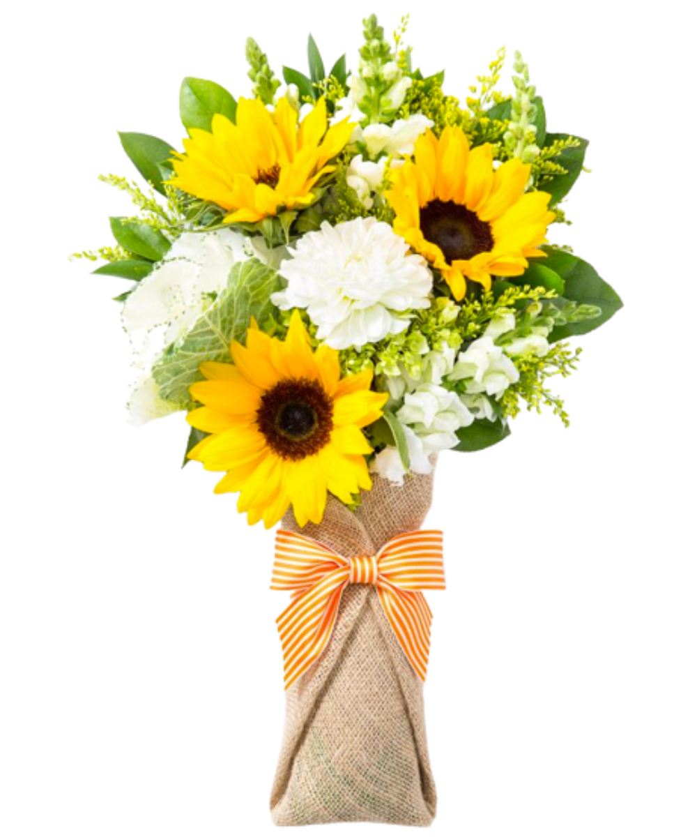 import placeholder for 3335