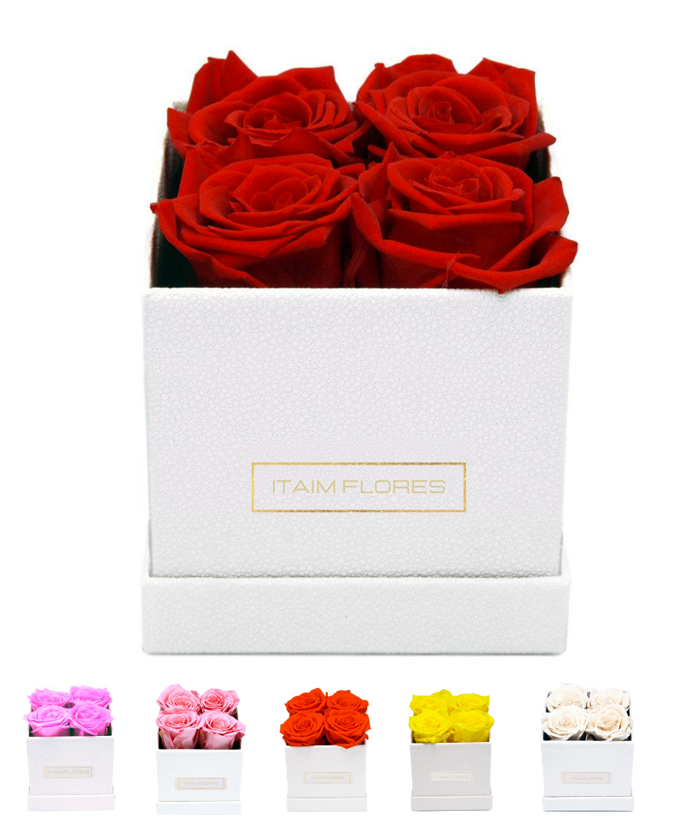 import placeholder for 3245