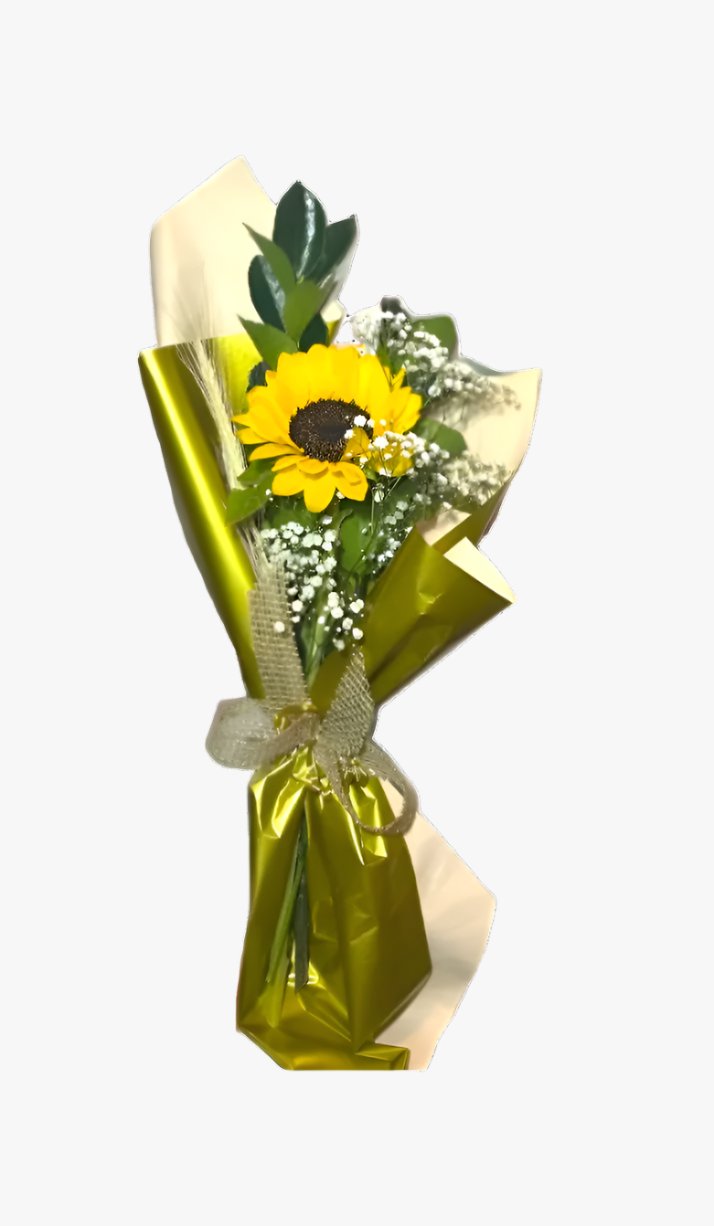 import placeholder for 2419