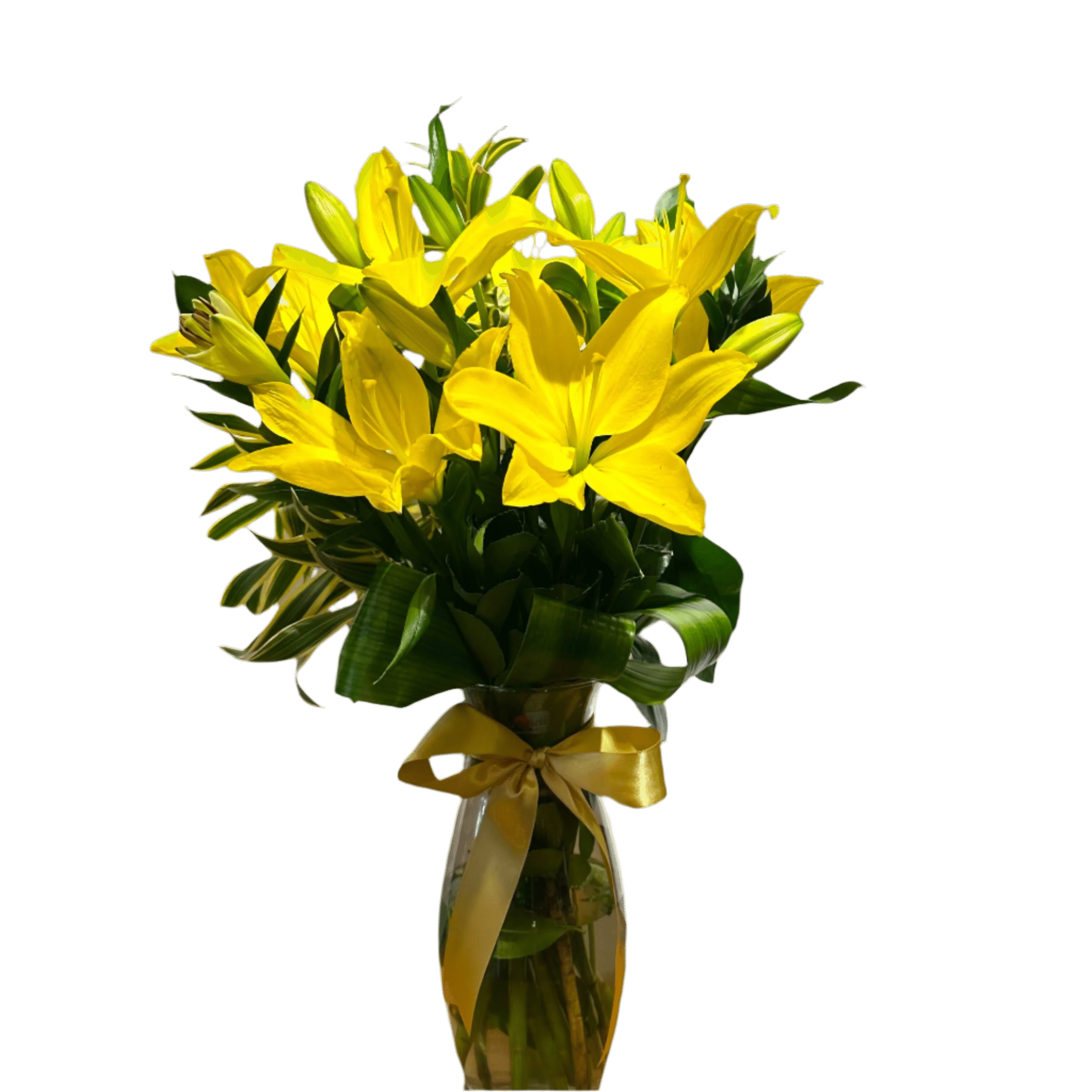 import placeholder for 3355